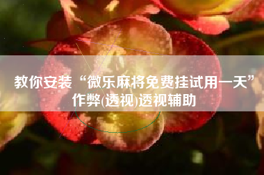 教你安装“微乐麻将免费挂试用一天	”作弊(透视)透视辅助