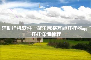 辅助挂机软件“微乐麻将万能开挂器app	”开挂详细教程