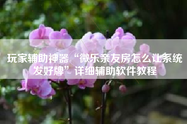 玩家辅助神器“微乐亲友房怎么让系统发好牌	”详细辅助软件教程