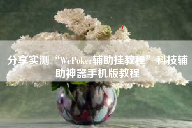 分享实测“WePoker辅助挂教程	”科技辅助神器手机版教程