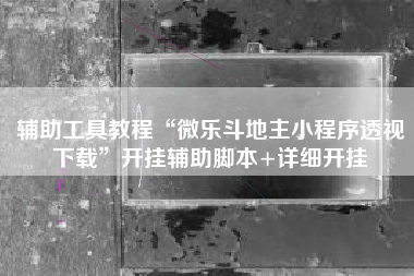 辅助工具教程“微乐斗地主小程序透视下载	”开挂辅助脚本+详细开挂