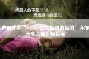教程分享“wepoker透视挂真的假的	”详细分享装挂步骤教程