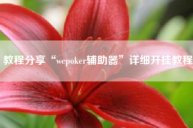教程分享“wepoker辅助器	”详细开挂教程