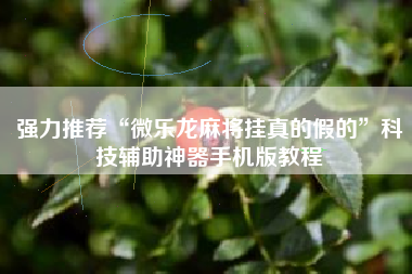 强力推荐“微乐龙麻将挂真的假的”科技辅助神器手机版教程