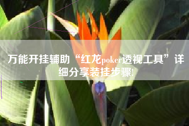 万能开挂辅助“红龙poker透视工具	”详细分享装挂步骤!
