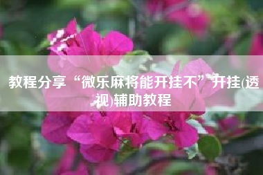 教程分享“微乐麻将能开挂不	”开挂(透视)辅助教程