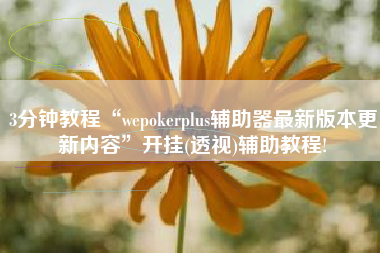 3分钟教程“wepokerplus辅助器最新版本更新内容	”开挂(透视)辅助教程!