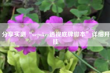 分享实测“wepoker透视底牌脚本”详细开挂