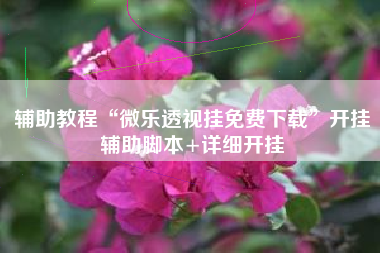 辅助教程“微乐透视挂免费下载”开挂辅助脚本+详细开挂