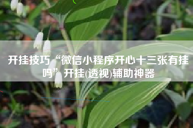 开挂技巧“微信小程序开心十三张有挂吗”开挂(透视)辅助神器