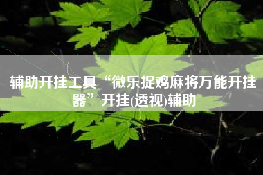 辅助开挂工具“微乐捉鸡麻将万能开挂器	”开挂(透视)辅助