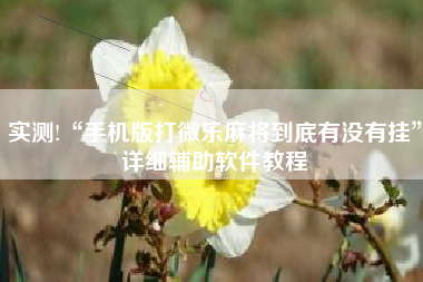 实测!“手机版打微乐麻将到底有没有挂”详细辅助软件教程