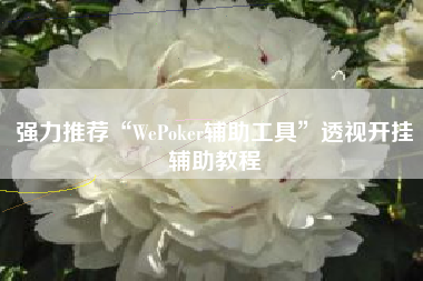 强力推荐“WePoker辅助工具	”透视开挂辅助教程