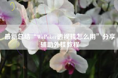 最新总结“WePoker透视挂怎么用”分享辅助外挂教程