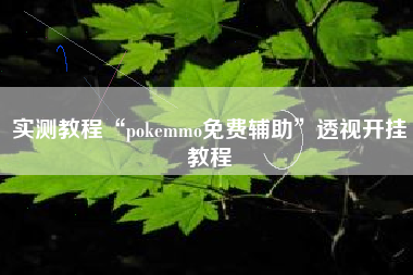 实测教程“pokemmo免费辅助”透视开挂教程