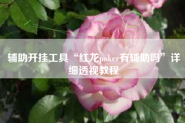 辅助开挂工具“红龙poker有辅助吗”详细透视教程