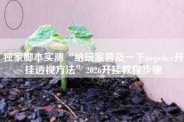 独家脚本实测“给玩家普及一下wepoker开挂透视方法”2026开挂教程步骤