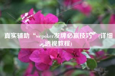 真实辅助“wepoker发牌必赢技巧	”(详细透视教程)