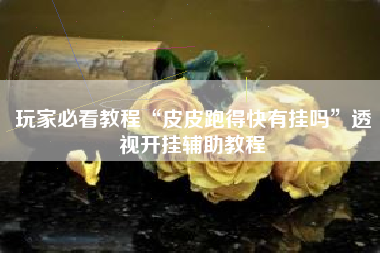 玩家必看教程“皮皮跑得快有挂吗”透视开挂辅助教程