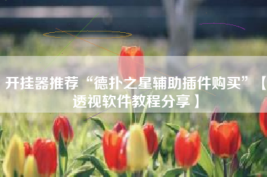 开挂器推荐“德扑之星辅助插件购买”【透视软件教程分享】