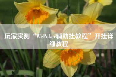 玩家实测“WePoker辅助挂教程”开挂详细教程