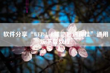 软件分享“WEPokeR辅助器透视挂”通用版下载教程!