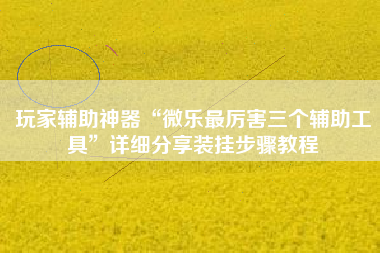 玩家辅助神器“微乐最厉害三个辅助工具”详细分享装挂步骤教程