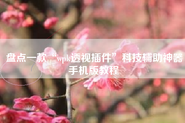 盘点一款“wpk透视插件	”科技辅助神器手机版教程