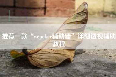 推荐一款“wepoker辅助器”详细透视辅助教程