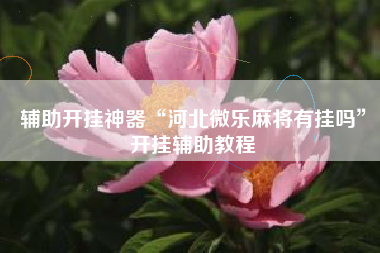 辅助开挂神器“河北微乐麻将有挂吗”开挂辅助教程