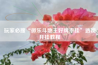 玩家必搜“微乐斗地主好牌率挂”透视开挂教程