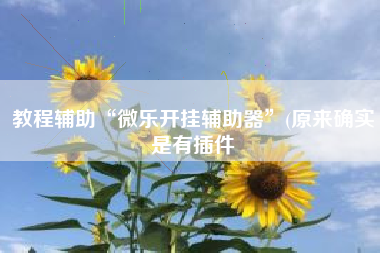 教程辅助“微乐开挂辅助器	”(原来确实是有插件