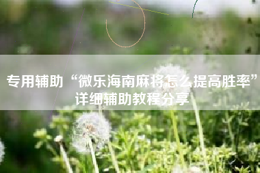 专用辅助“微乐海南麻将怎么提高胜率”详细辅助教程分享