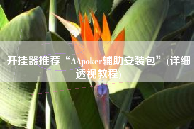 开挂器推荐“AApoker辅助安装包”(详细透视教程)