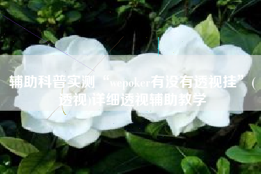 辅助科普实测“wepoker有没有透视挂	”(透视)详细透视辅助教学