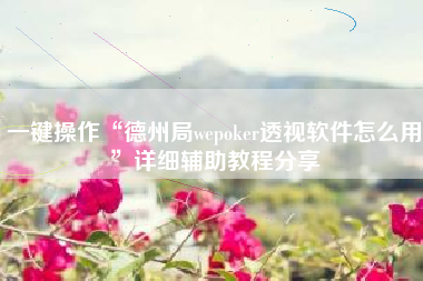 一键操作“德州局wepoker透视软件怎么用	”详细辅助教程分享