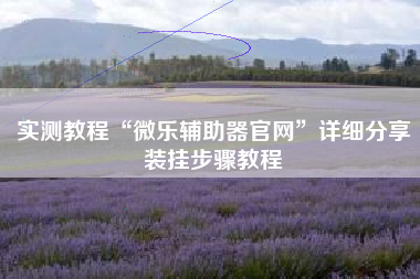 实测教程“微乐辅助器官网”详细分享装挂步骤教程
