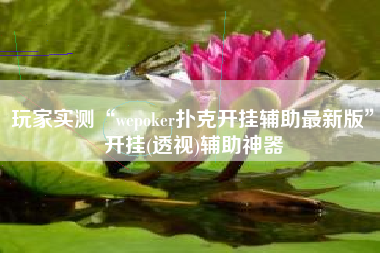 玩家实测“wepoker扑克开挂辅助最新版”开挂(透视)辅助神器
