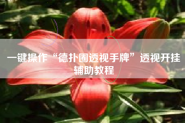 一键操作“德扑圈透视手牌”透视开挂辅助教程