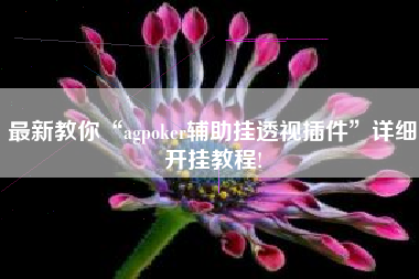 最新教你“agpoker辅助挂透视插件”详细开挂教程!