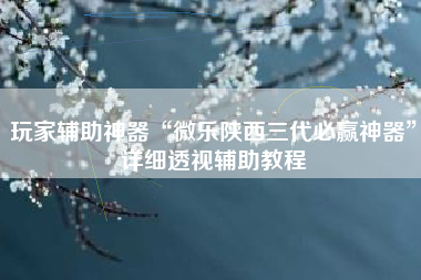 玩家辅助神器“微乐陕西三代必赢神器	”详细透视辅助教程