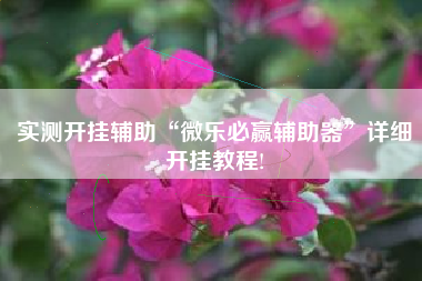 实测开挂辅助“微乐必赢辅助器	”详细开挂教程!