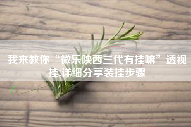 我来教你“微乐陕西三代有挂嘛”透视挂!详细分享装挂步骤