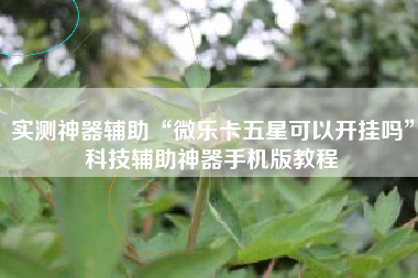 实测神器辅助“微乐卡五星可以开挂吗”科技辅助神器手机版教程