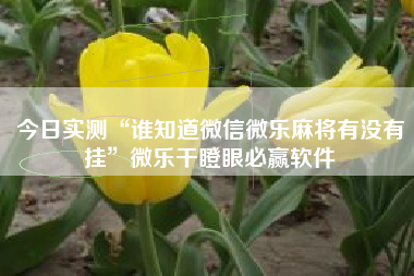 今日实测“谁知道微信微乐麻将有没有挂”微乐干瞪眼必赢软件