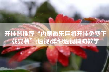 开挂器推荐“内蒙微乐麻将开挂免费下载安装”(透视)详细透视辅助教学