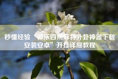 秒懂经验“微乐四川麻将外卦神器下载安装安卓”开挂详细教程