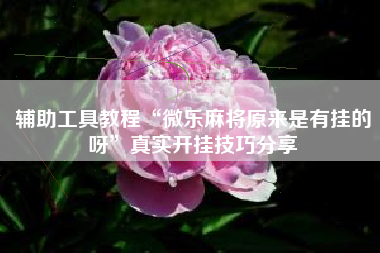 辅助工具教程“微乐麻将原来是有挂的呀	”真实开挂技巧分享