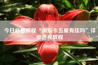 今日必看教程“微乐卡五星有挂吗	”详细透视教程