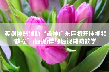 实测神器辅助“雀神广东麻将开挂视频教程	”(透视)详细透视辅助教学